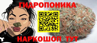 прущая мука Кимры