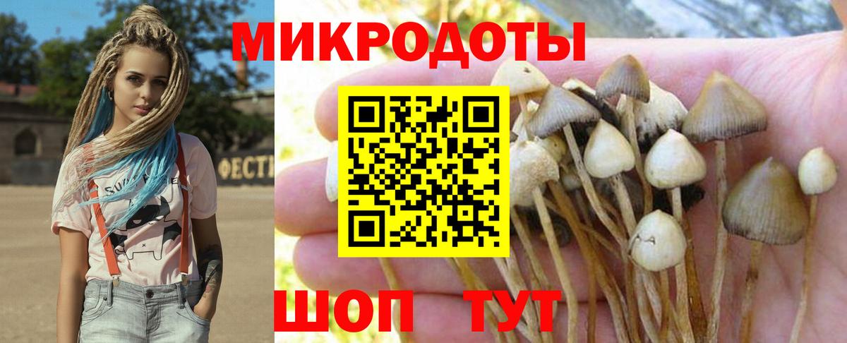 Псилоцибиновые грибы ЛСД Кропоткин