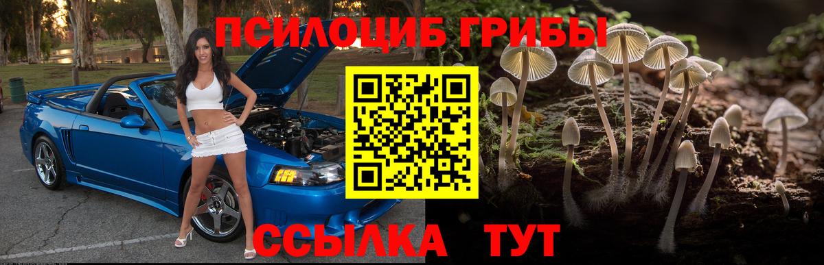 Псилоцибиновые грибы Cubensis  Вход с VPN  Псилоцибиновые грибы ЛСД  Кропоткин 